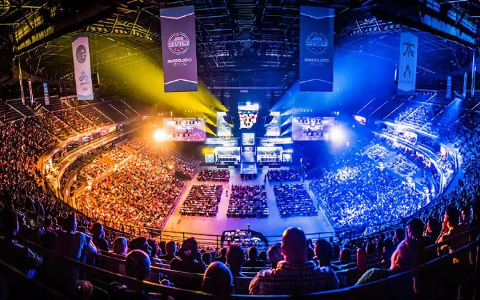 职业生涯的 职业生涯的