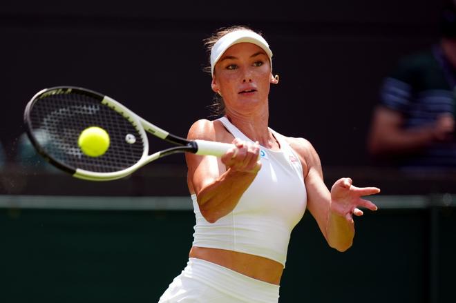 还结识了许 还结识了许