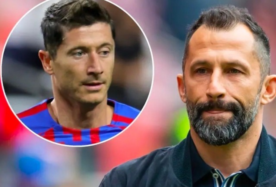 国家队队友 国家队队友